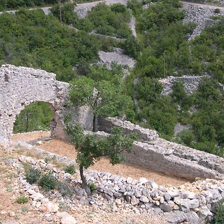 סטארי גראד Apartment Starigrad/Senj 1 מראה חיצוני תמונה